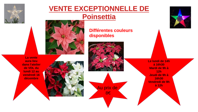 VentePoinsettia.png